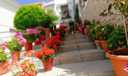 Calle Torres - Doña Mencía