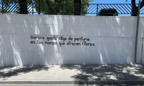 Conexión para seguir las rutas