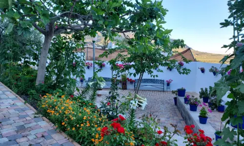 Calle Torres - Doña Mencía