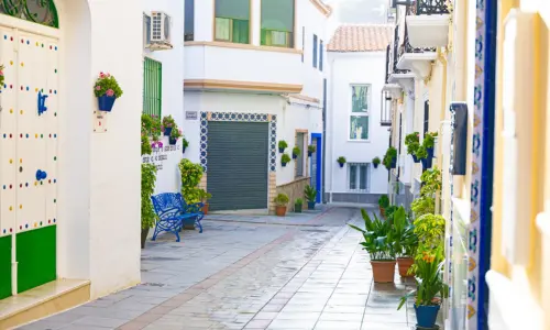 Ruta de las Calles de las Flores - Calle San Pedro Mártir