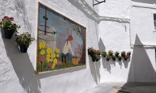 Ruta de las Calles de las Flores - Calle San Pedro Mártir